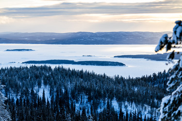 Similar image 22529854