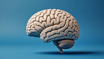 Similar image 22557364