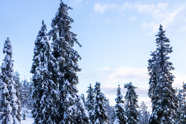 Similar image 22529395