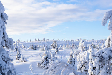 Similar image 22529462