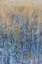 Similar image 22529571