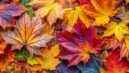 Similar image 22538367