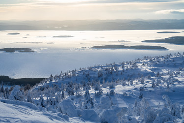 Similar image 22529600