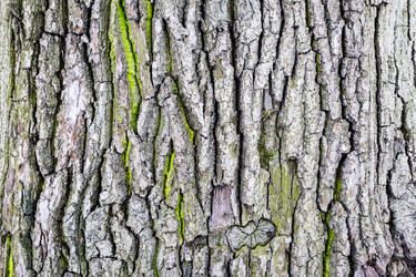 Similar image 22529645