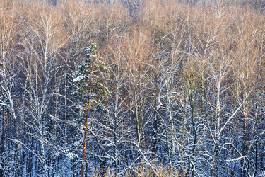 Similar image 22529700