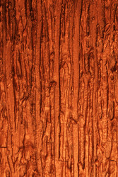 Similar image 22532333