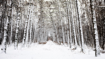 Similar image 22529719