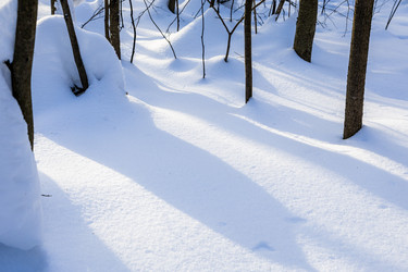 Similar image 22529763