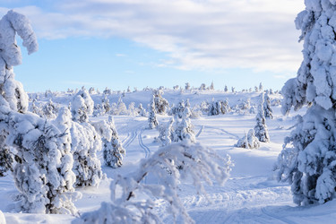 Similar image 22529872