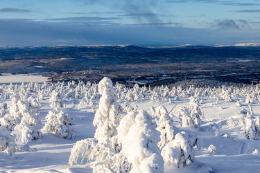 Similar image 22528787