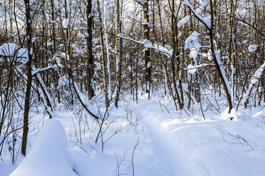 Similar image 22528814