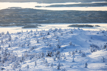 Similar image 22528972