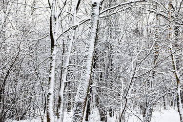 Similar image 22529023