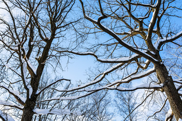 Similar image 22529065