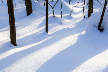 Similar image 22529067