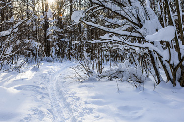 Similar image 22529097