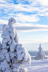 Similar image 22529101