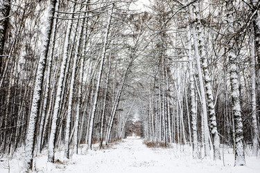 Similar image 22529103