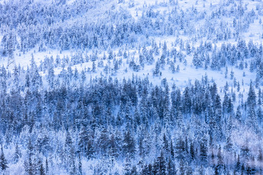 Similar image 22529149