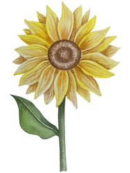 Similar image 22530495