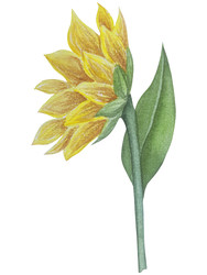 Similar image 22530497