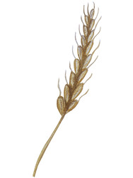 Similar image 22530520