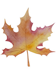 Similar image 22530832