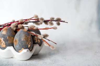 Similar image 22555024