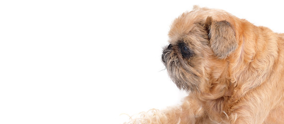 Similar image 22530102