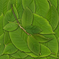 Similar image 22530258