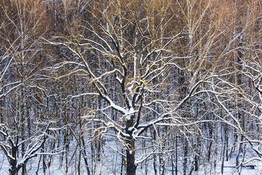 Similar image 22529267