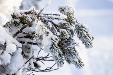 Similar image 22529421