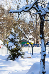 Similar image 22529510