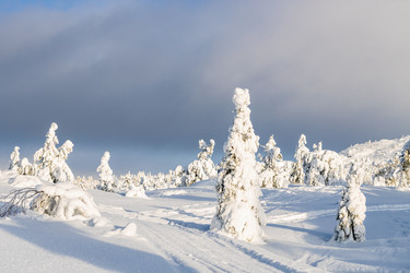 Similar image 22529533