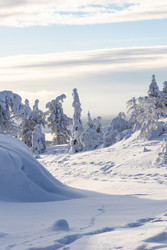 Similar image 22529573