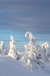 Similar image 22529702