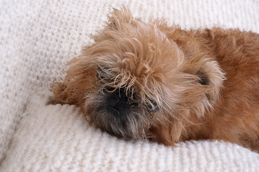 Similar image 22532403