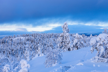 Similar image 22529809