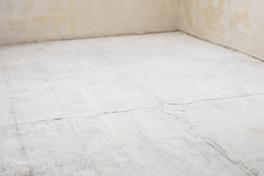 Similar image 22529810