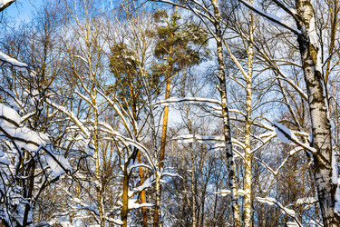 Similar image 22529831