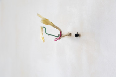 Similar image 22529856