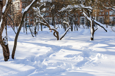 Similar image 22529875