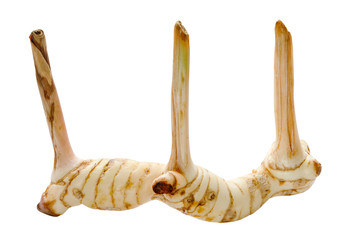 Similar image 22529902