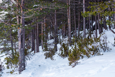 Similar image 22528789