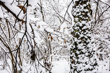 Similar image 22528965