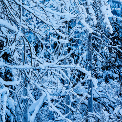 Similar image 22528984