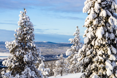 Similar image 22529003