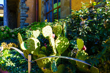 Similar image 22530451