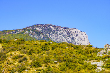 Similar image 22530455