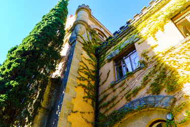 Similar image 22530849